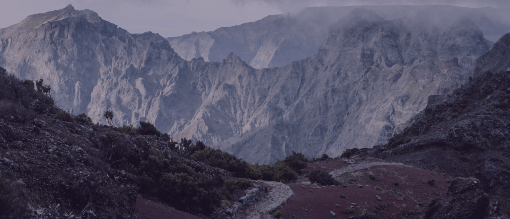 2026 Looking forward