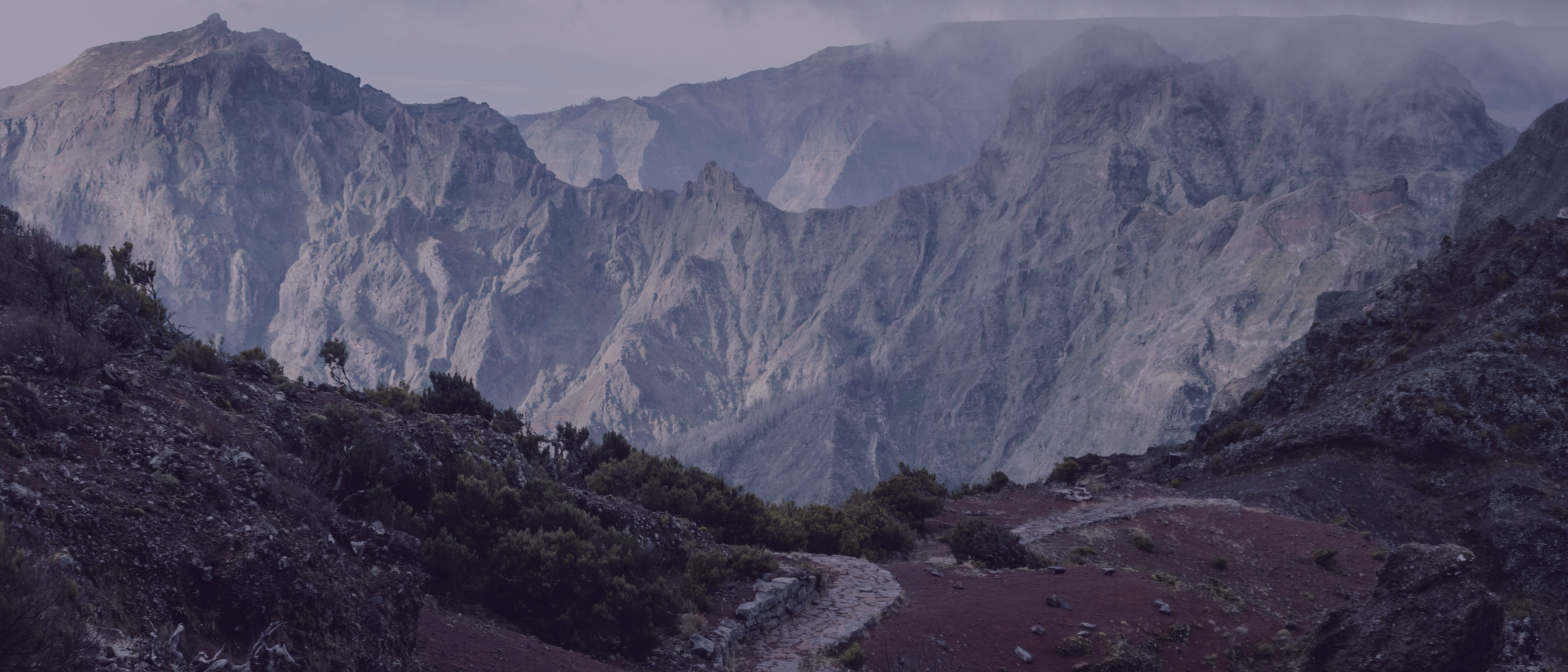 2026 Looking forward